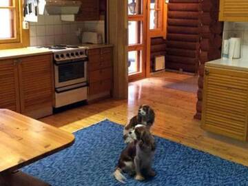 Фото номера Дом для отпуска Дома для отпуска Holiday Home Sokeelampi г. Matku 14
